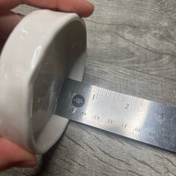 Handmade Circular Ceramic Reptile Dish - Picture 6 of 6